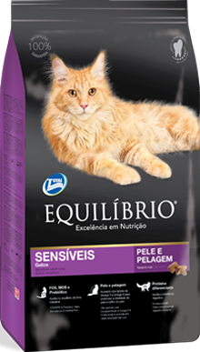 Calypso Pet's Shop