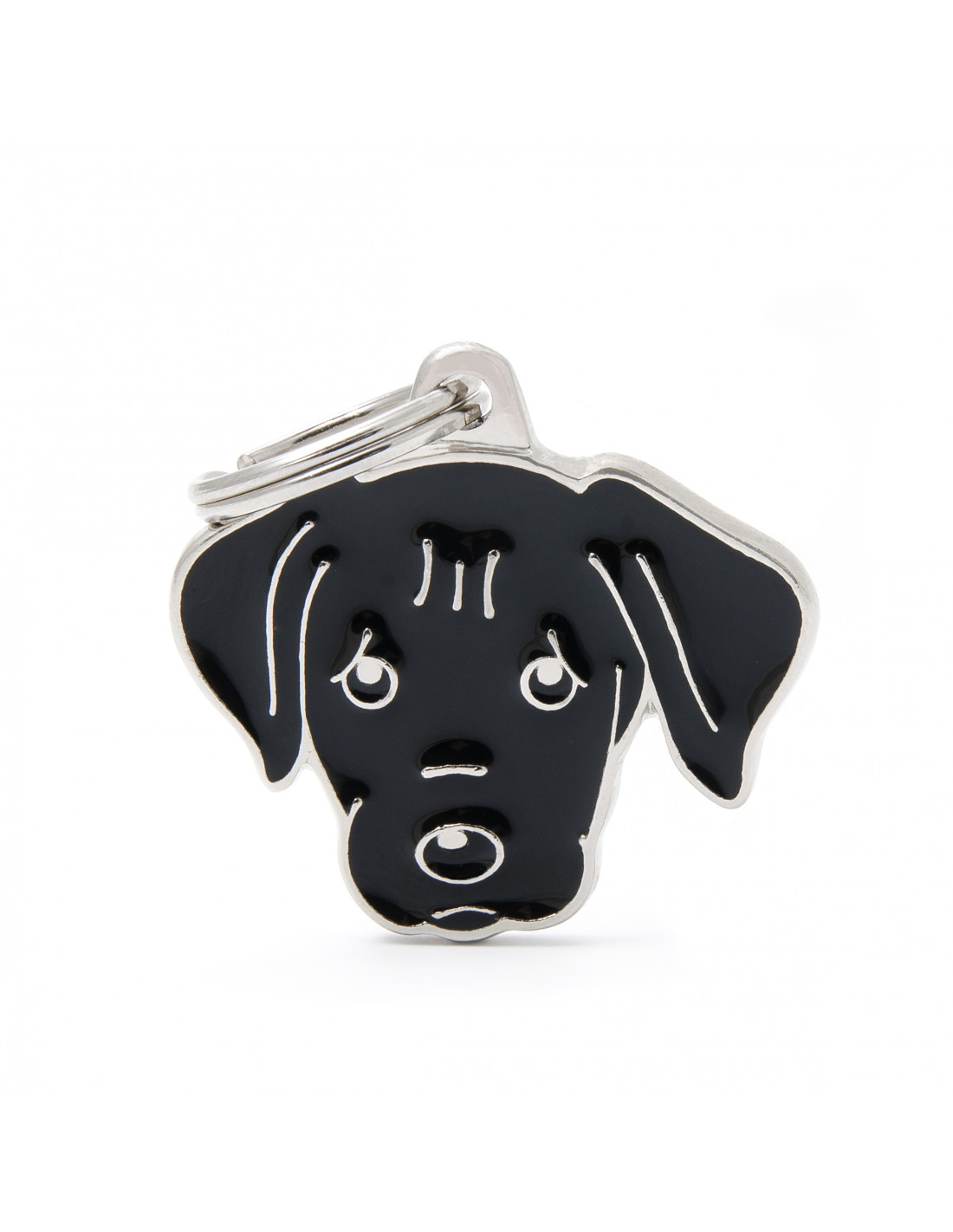 Calypso Pet's Shop