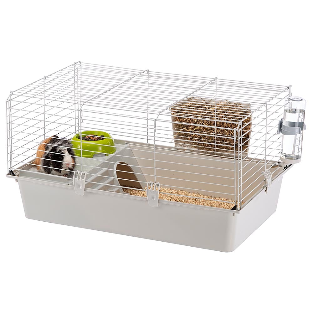 Calypso Pet's Shop