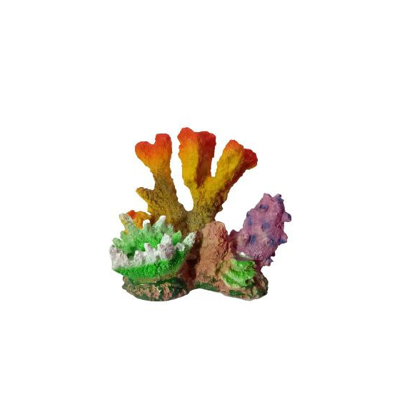Calypso Pet's Shop